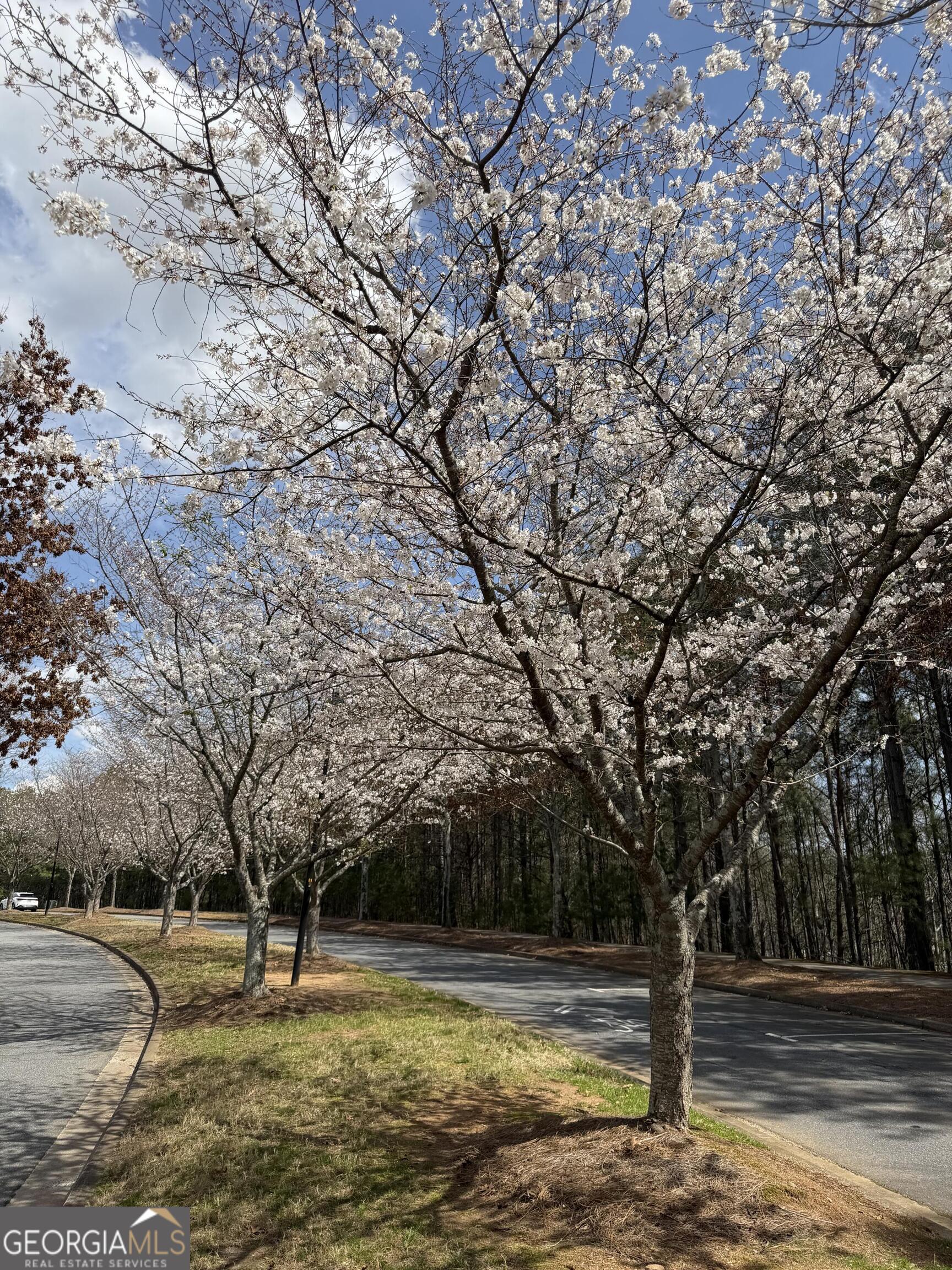 1550 Baygreen Road Suwanee, GA 30024 - Photo 19 of 25