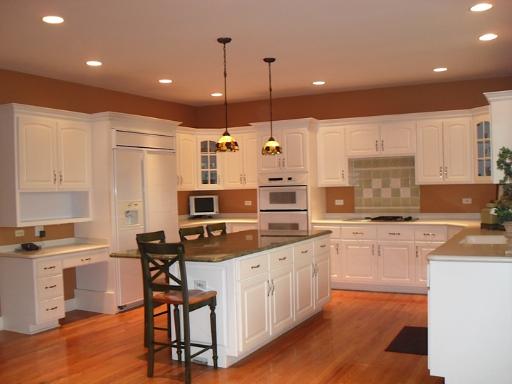 12 Firethorn Court Lemont, IL 60439 - Photo 4 of 16