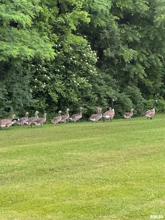 $275,000 | 4606 South Hanna City Glasford Road, Hanna City, IL 61536