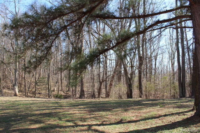 2382 Fountain Ridge Road Hopewell, VA 23860 - Photo 8 of 24 Gallery Image 8