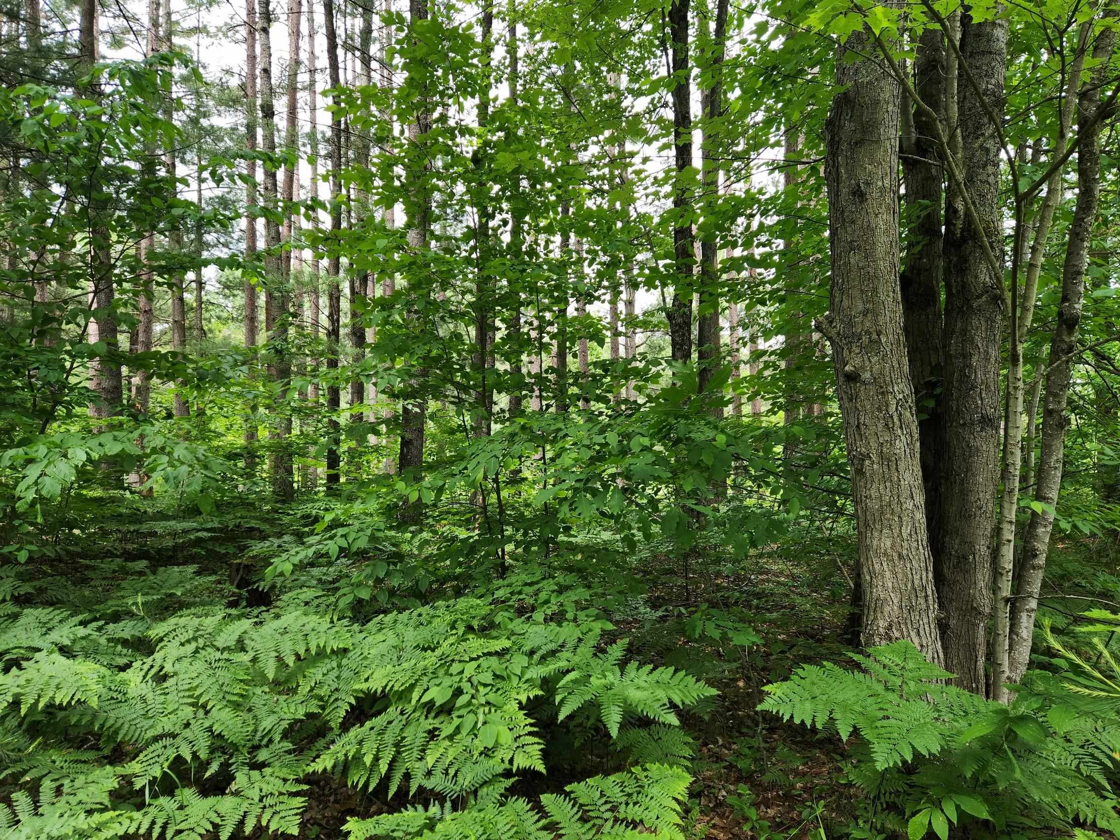 5364 Blue Lake Road Northeast, Unit LOT: K Kalkaska, MI 49646 - Photo 27 of 32