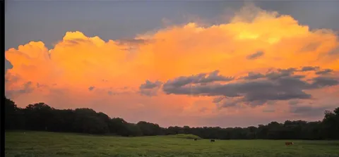 $1,450,000 | 141 County Road 4793, Boyd, TX 76023