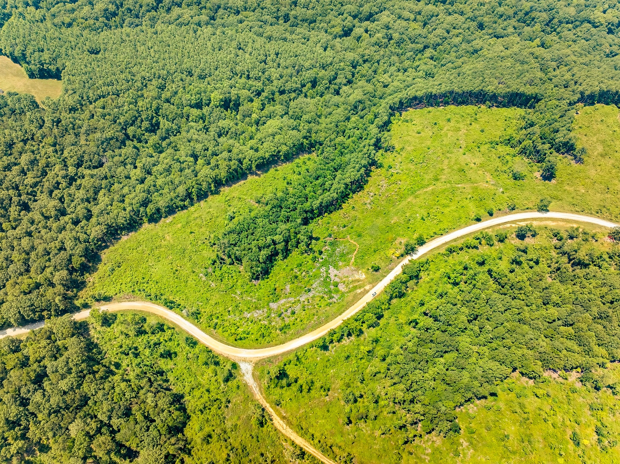 0 Twin Feathers Road Stewart, TN 37175 - Photo 5 of 7 a view of a garden