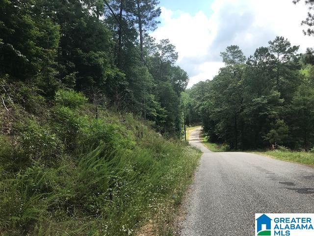 Mountain View Vance, AL 35490 - Photo 9 of 28