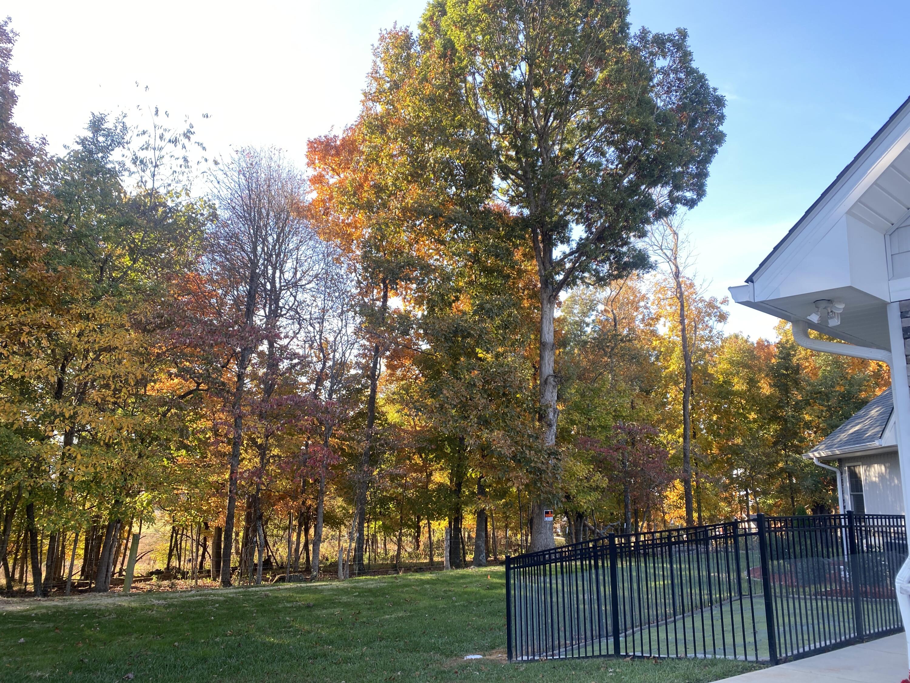 306 Saddle Ridge Court Greeneville, TN 37745 - Photo 54 of 81 IMG_4747 (1)