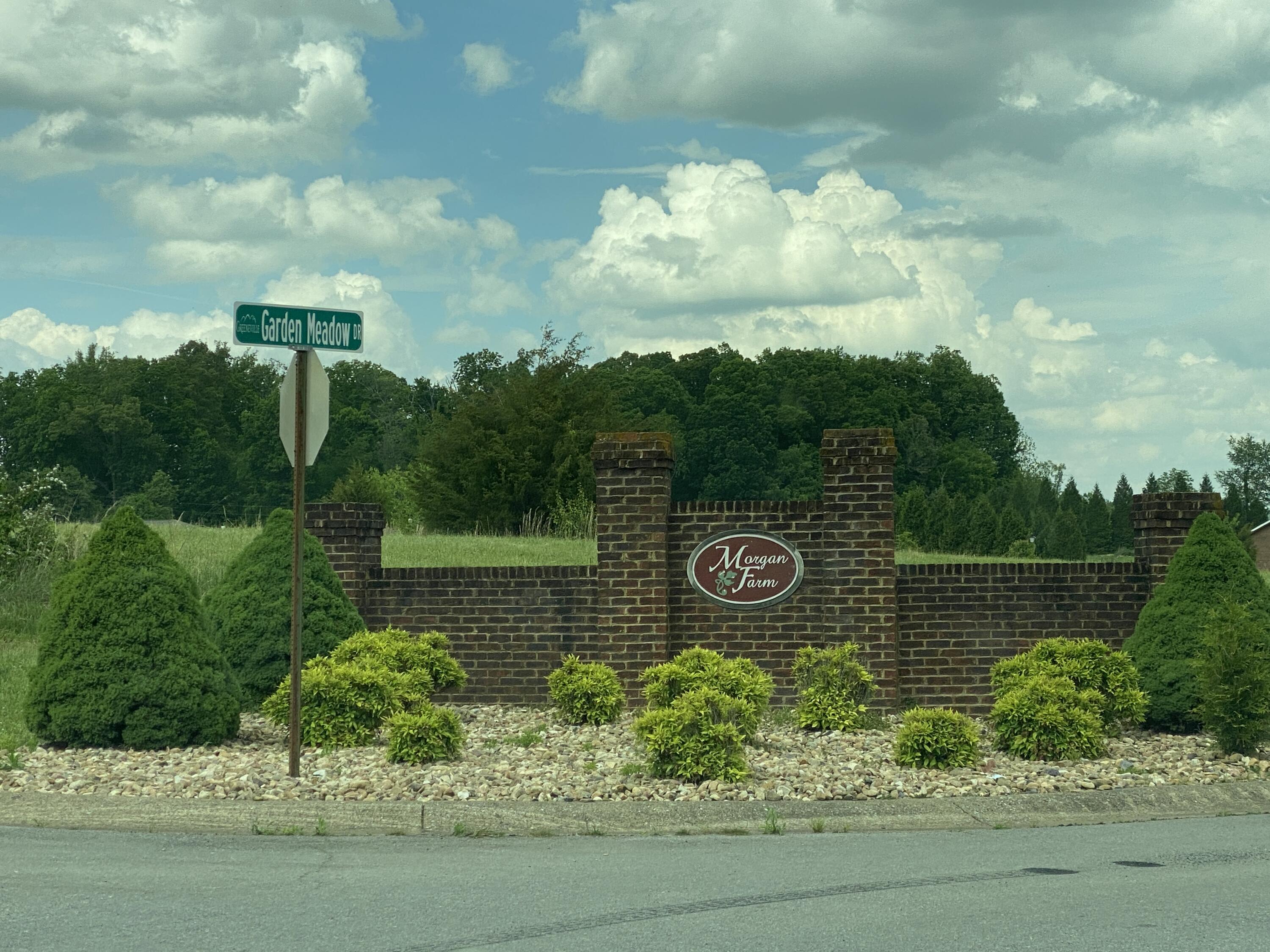 306 Saddle Ridge Court Greeneville, TN 37745 - Photo 79 of 81 IMG_9168