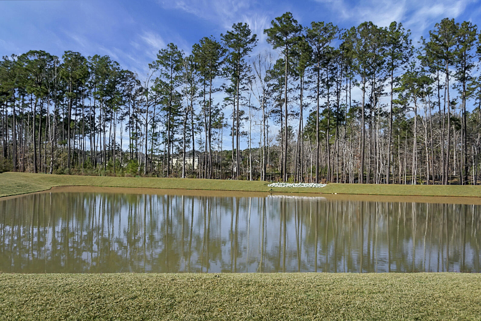 213 Sarcoxie Road Moncks Corner, SC 29461 - Photo 45 of 45 DSC05086