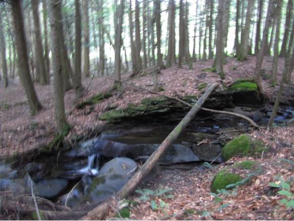 170 Larkin Road Tunbridge, VT 05077 - Photo 3 of 7