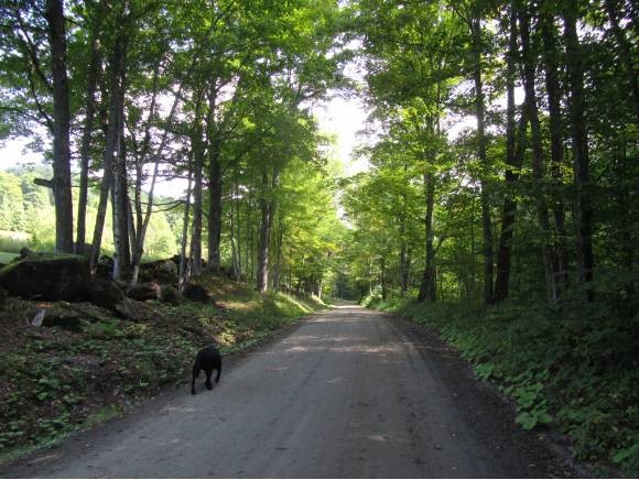 170 Larkin Road Tunbridge, VT 05077 - Photo 4 of 7