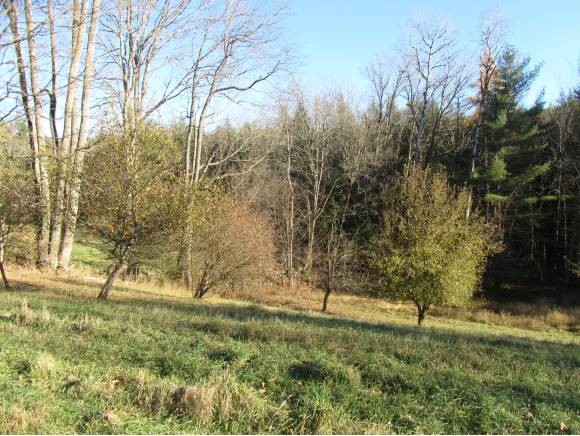 170 Larkin Road Tunbridge, VT 05077 - Photo 7 of 7