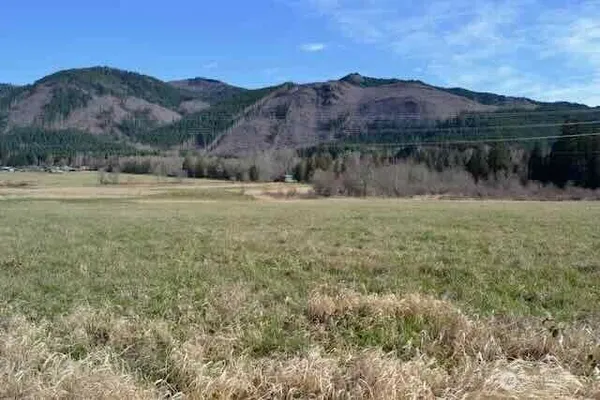 a view of a backyard with green space