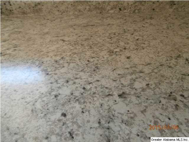 88 Fennell Street Sumiton, AL 35148 - Photo 20 of 30
