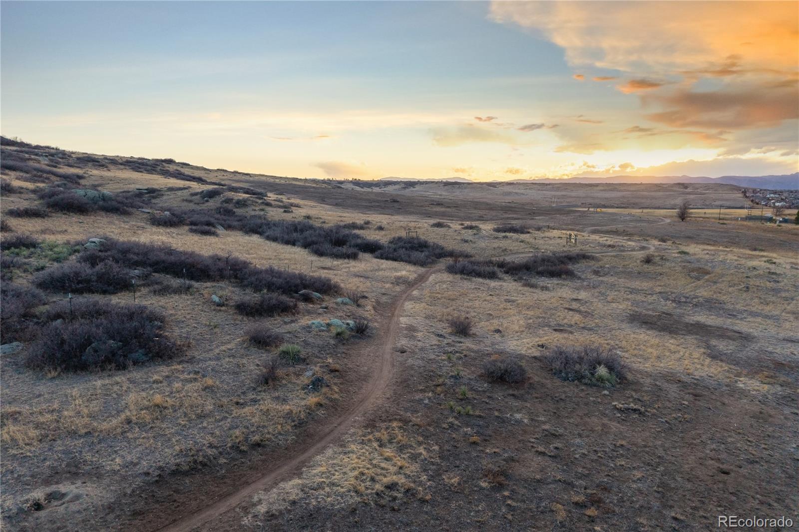 6098 Puma Ridge Lone Tree, CO 80124 - Photo 46 of 50