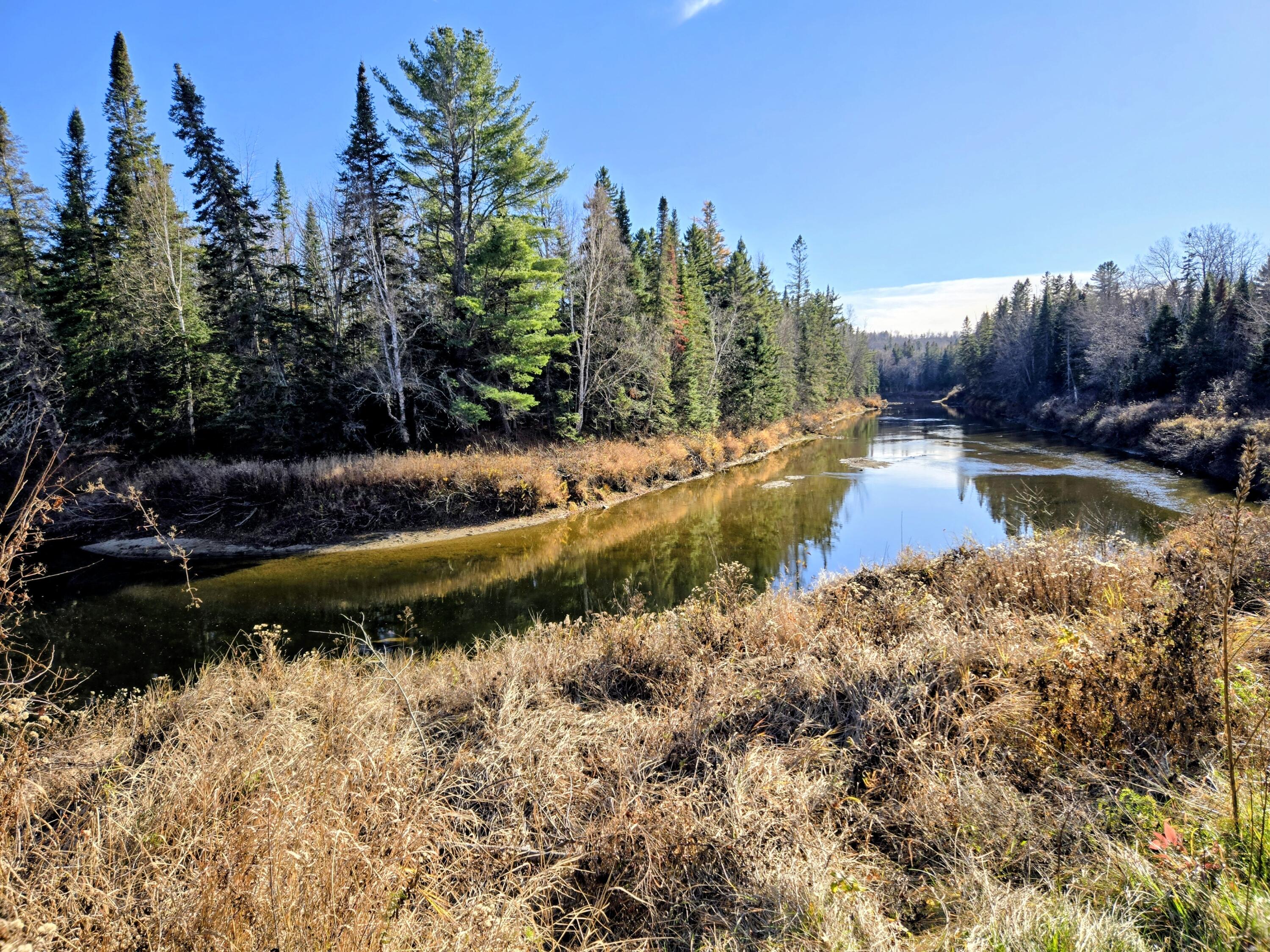 Lot 11 Holeb Road Jackman, ME 04945 - Photo 39 of 59 Located by the Moose River