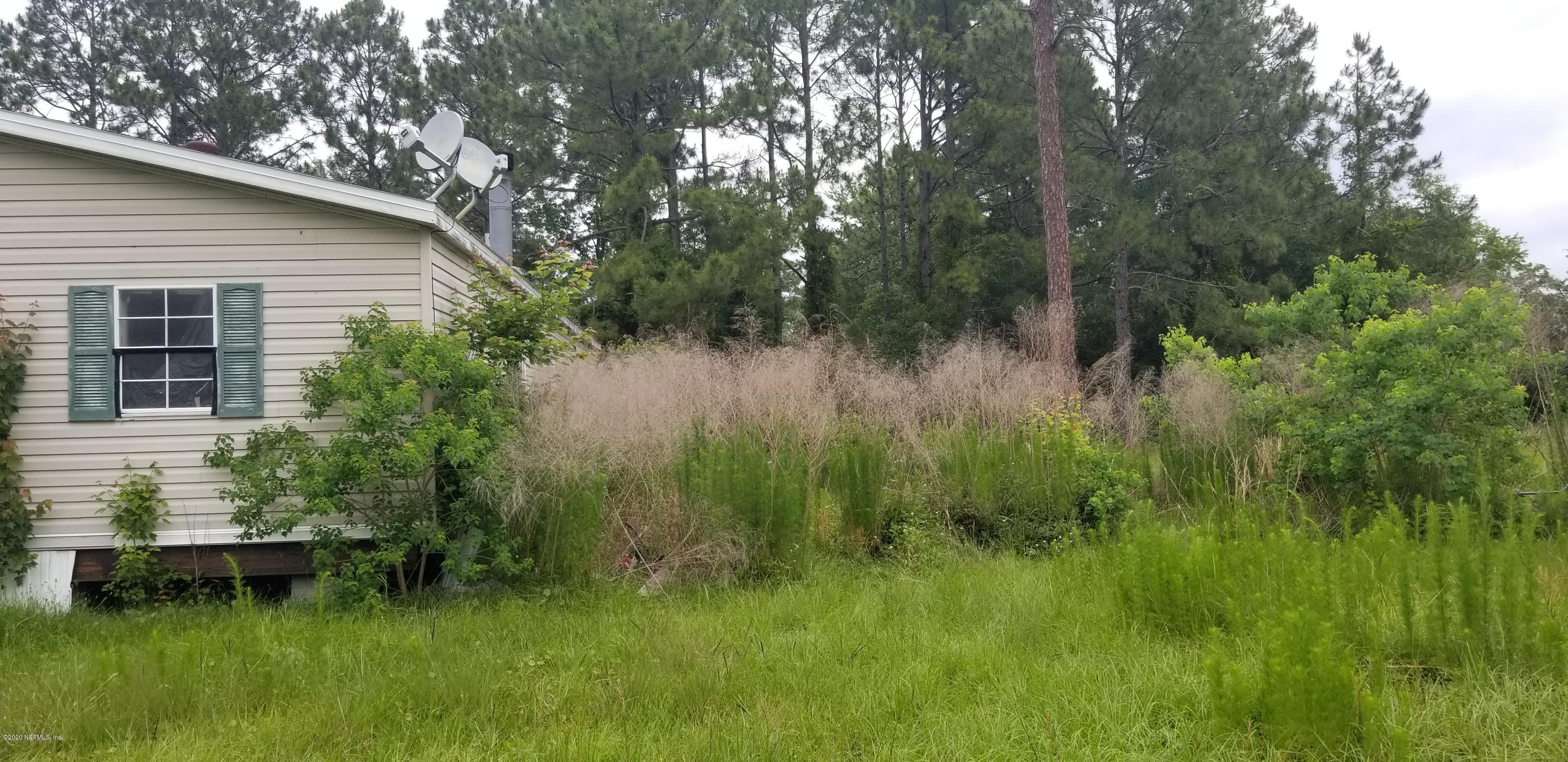 14003 Bradham Road Jacksonville, FL 32226 - Photo 6 of 30 a view of a backyard with plants and large tree