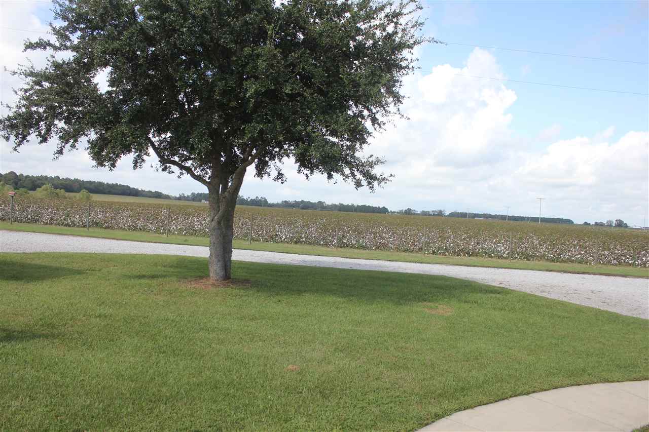 8831 Baptist Camp Road Elberta, AL 36530 - Photo 16 of 18