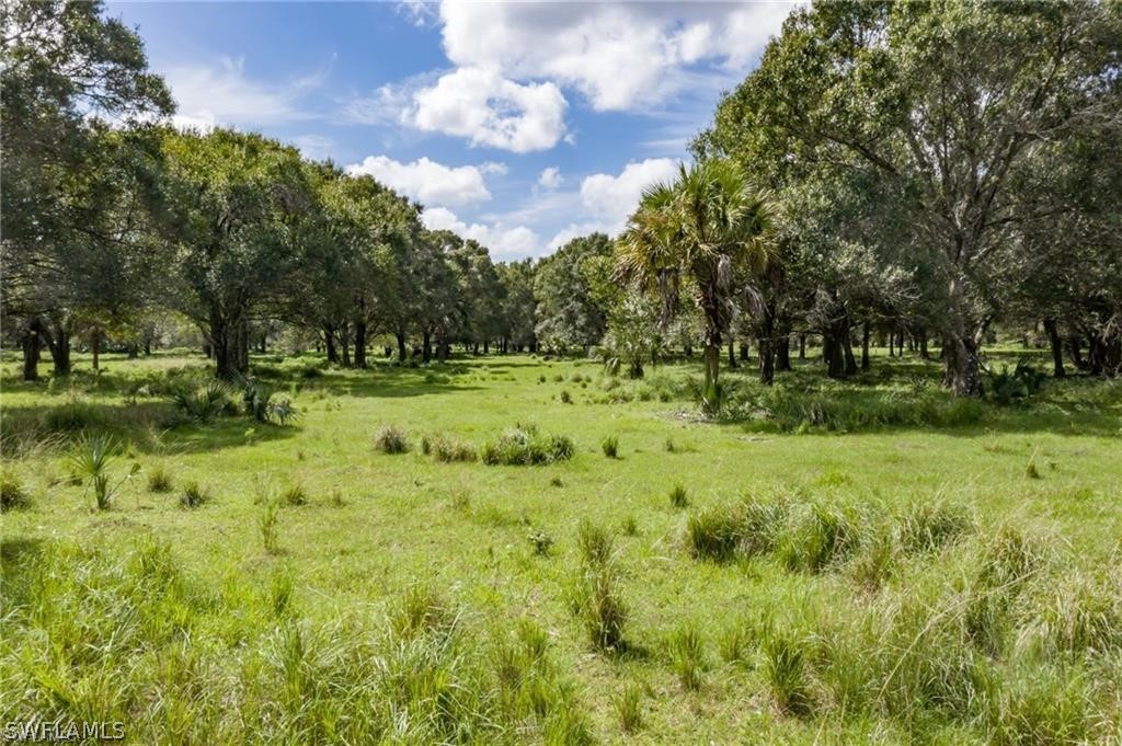 2339 Fort Denaud Road Fort Denaud, FL 33935 - Photo 15 of 16 Gallery Image 15