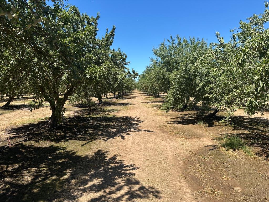 12400 East Keyes Road Denair, CA 95316 - Photo 22 of 29