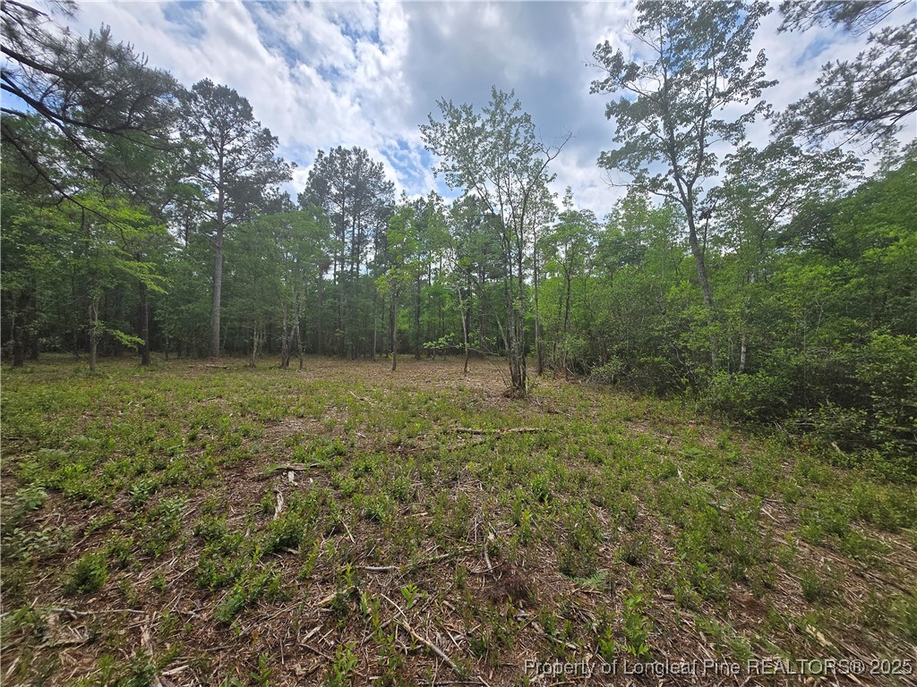 0 Avery Road Fayetteville, NC 28312 - Photo 8 of 10 Gallery Image 8