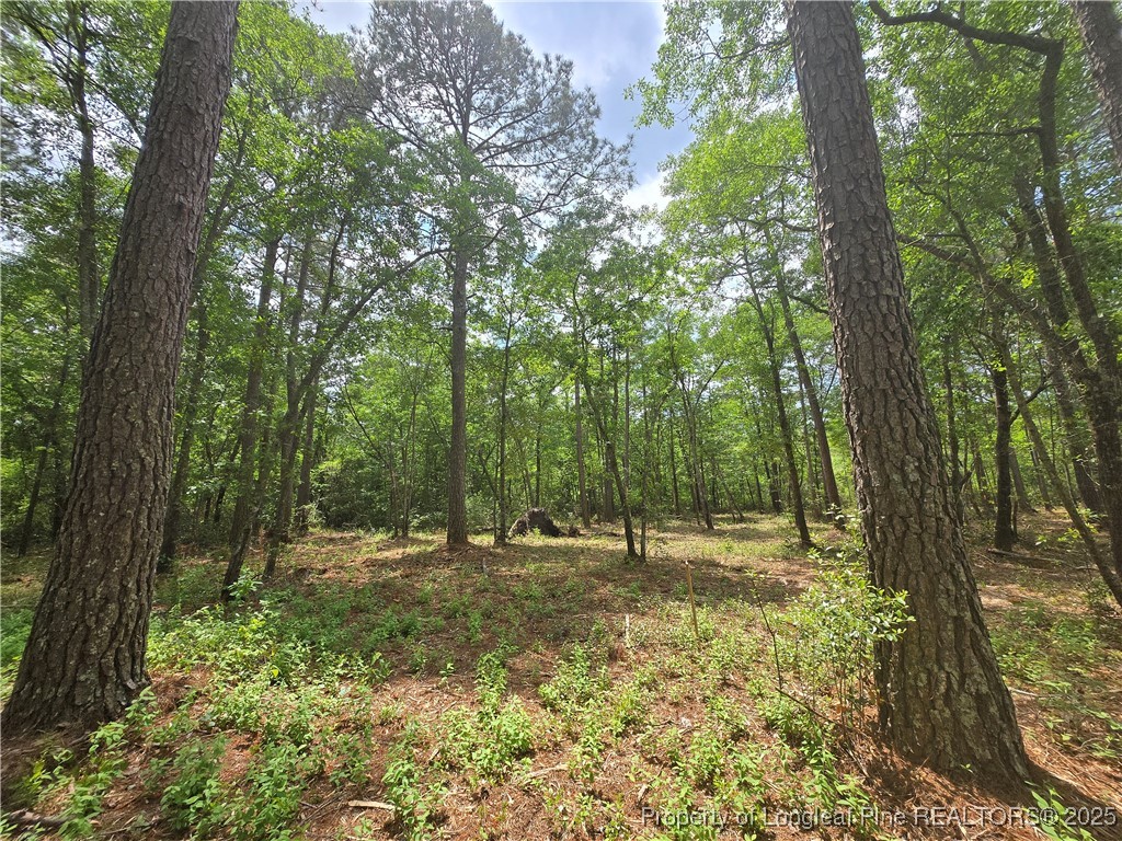 0 Avery Road Fayetteville, NC 28312 - Photo 9 of 10 Gallery Image 9