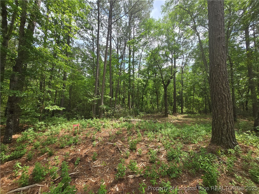 0 Avery Road Fayetteville, NC 28312 - Photo 10 of 10 Gallery Image 10