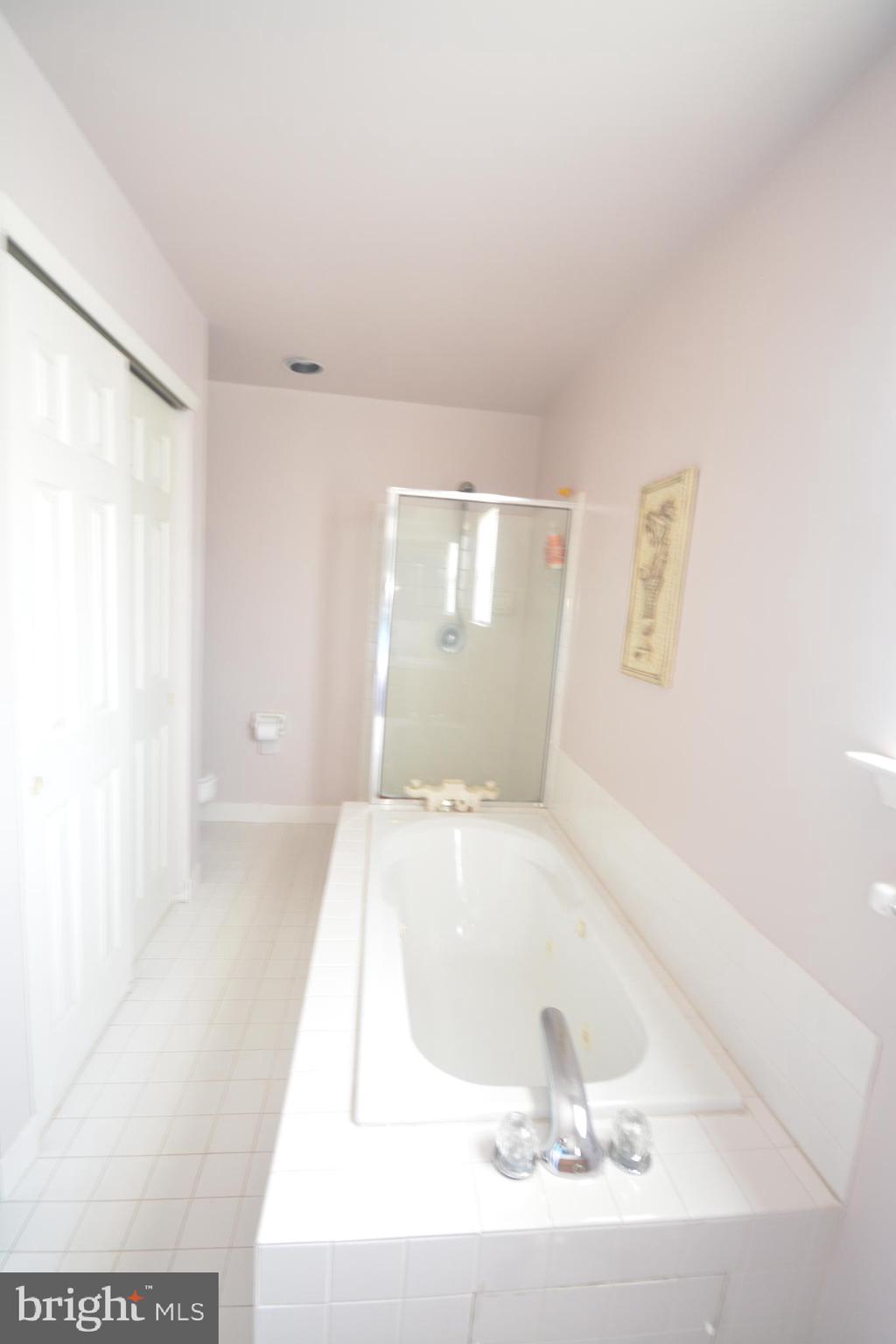 856 Frosty Hollow Road Langhorne, PA 19047 - Photo 28 of 49 Master Bathroom