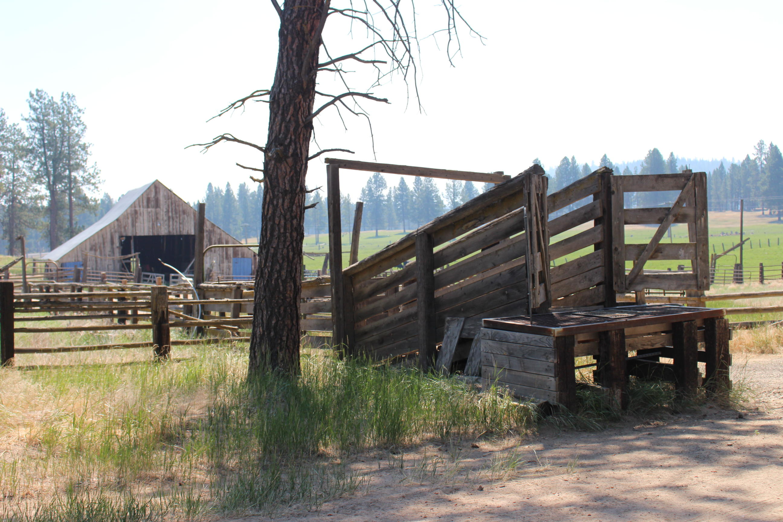 8100 Sprague River Road Chiloquin, OR 97624 - Photo 11 of 15 IMG_3501