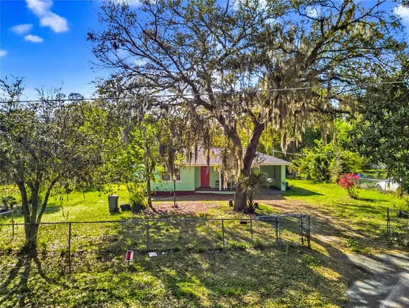 a green field with lots of flowers and trees