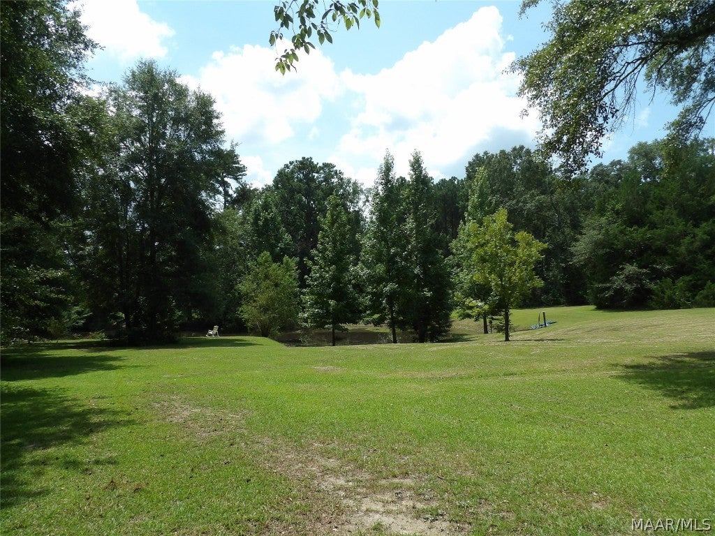 5126 Hodgesville Road Dothan, AL 36301 - Photo 5 of 48 Gallery Image 5