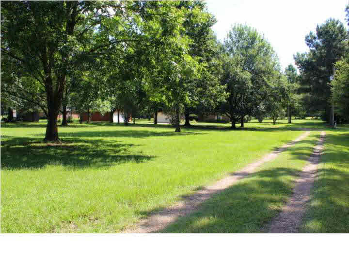 6732 Siwell Road Byram, MS 39272 - Photo 12 of 50 Road to Property