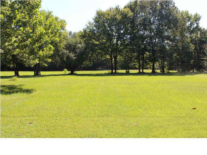 6732 Siwell Road Byram, MS 39272 - Photo 49 of 50 Acreage