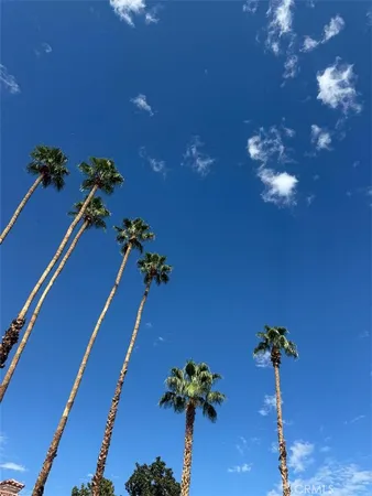 a vase of flowers sitting on a table