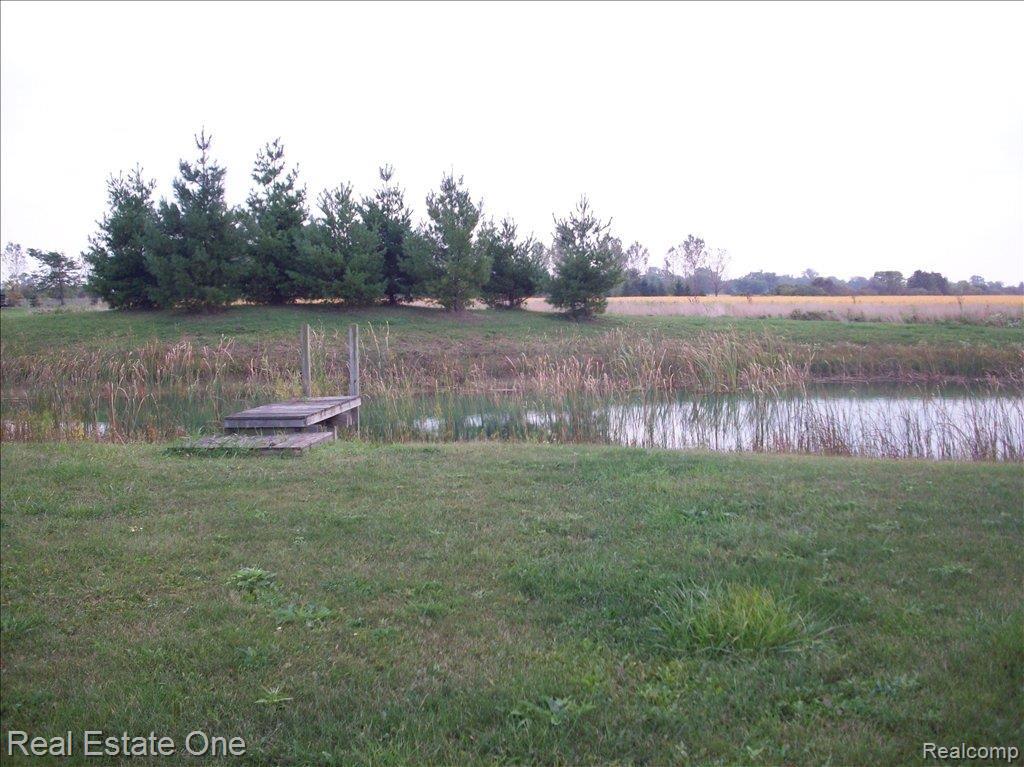 4425 Newport Road Newport, MI 48166 - Photo 17 of 23 blue jay 049