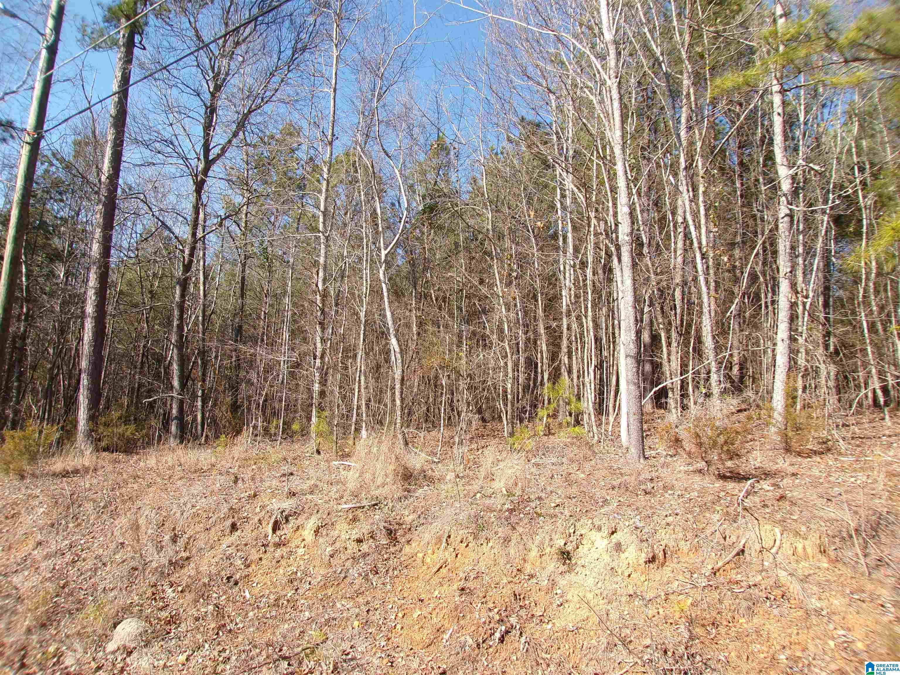 0 Arthur Drive, Unit 27 Weaver, AL 36277 - Photo 15 of 15