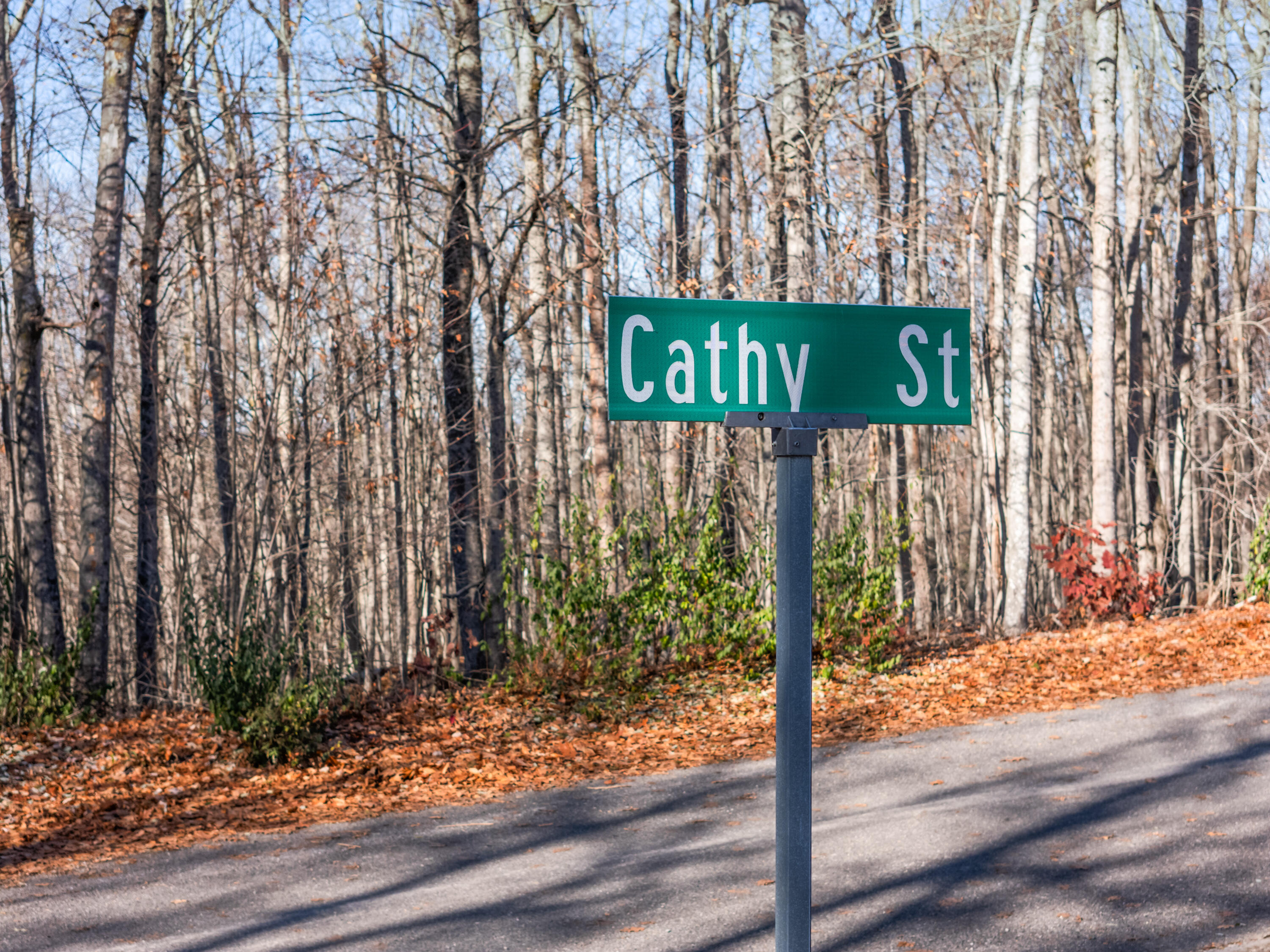 118 Cathy Street Augusta, ME 04330 - Photo 17 of 24 Lot 118 Cathy St_117