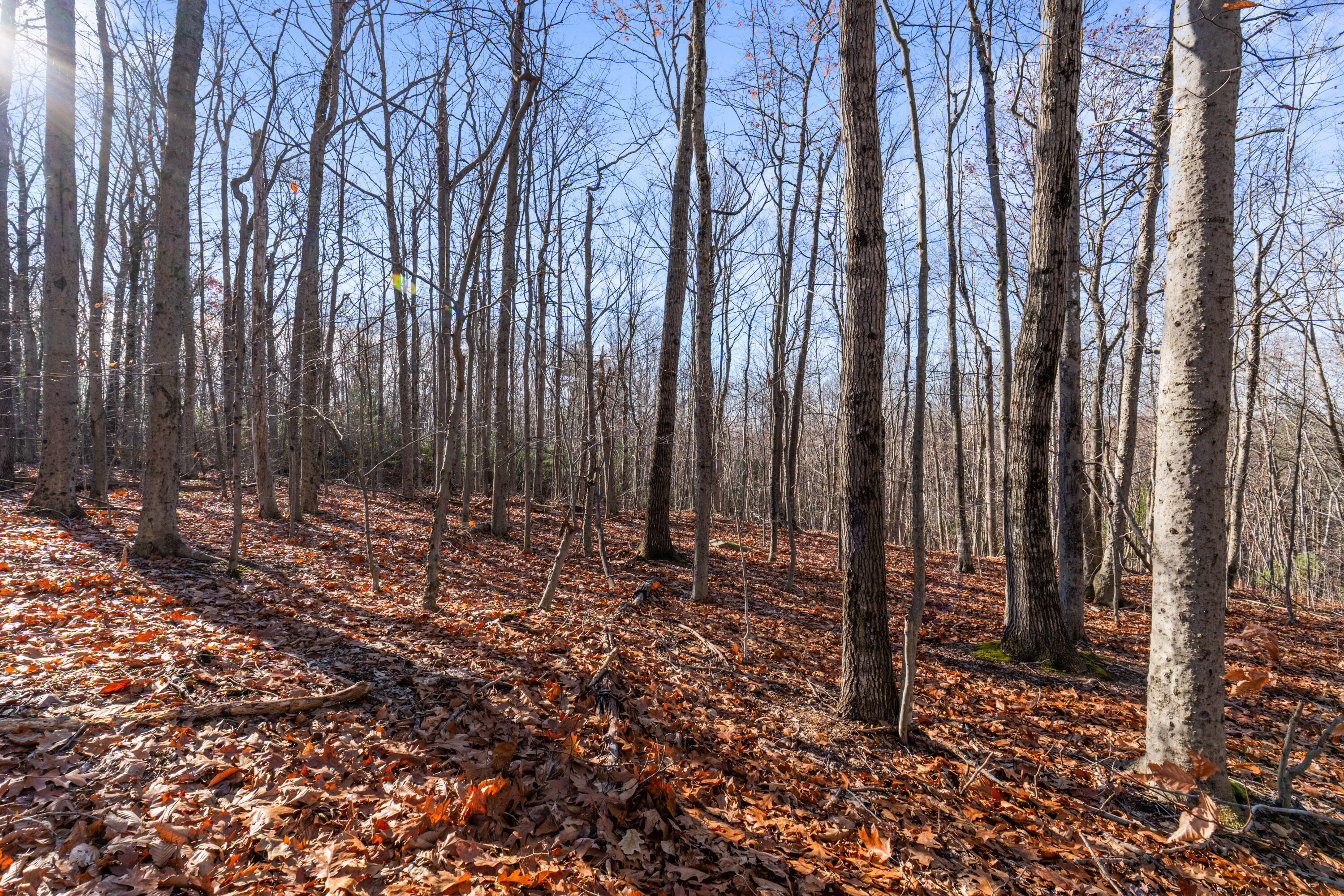 118 Cathy Street Augusta, ME 04330 - Photo 22 of 24 Lot 118 Cathy St_122