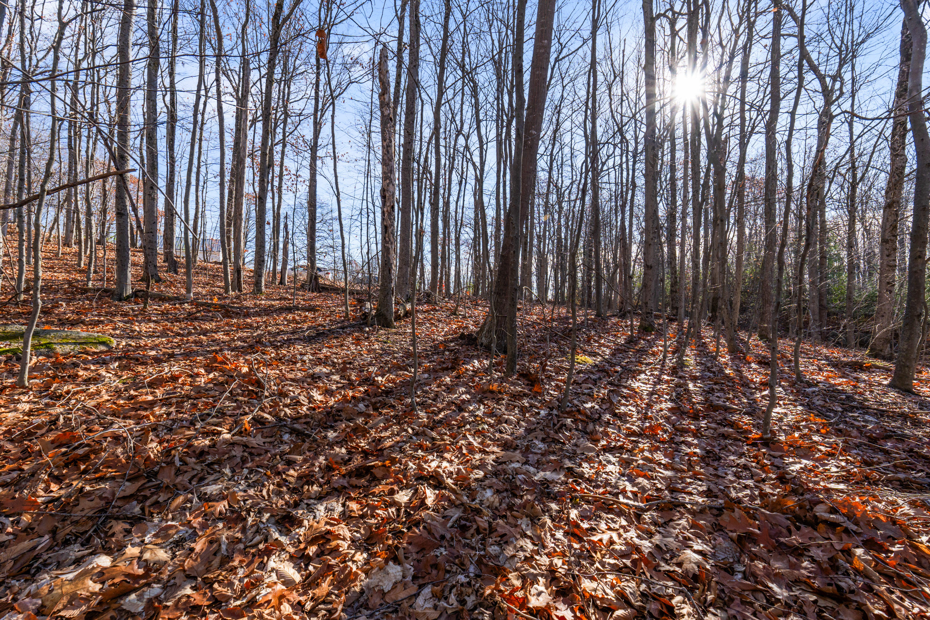 118 Cathy Street Augusta, ME 04330 - Photo 23 of 24 Lot 118 Cathy St_123