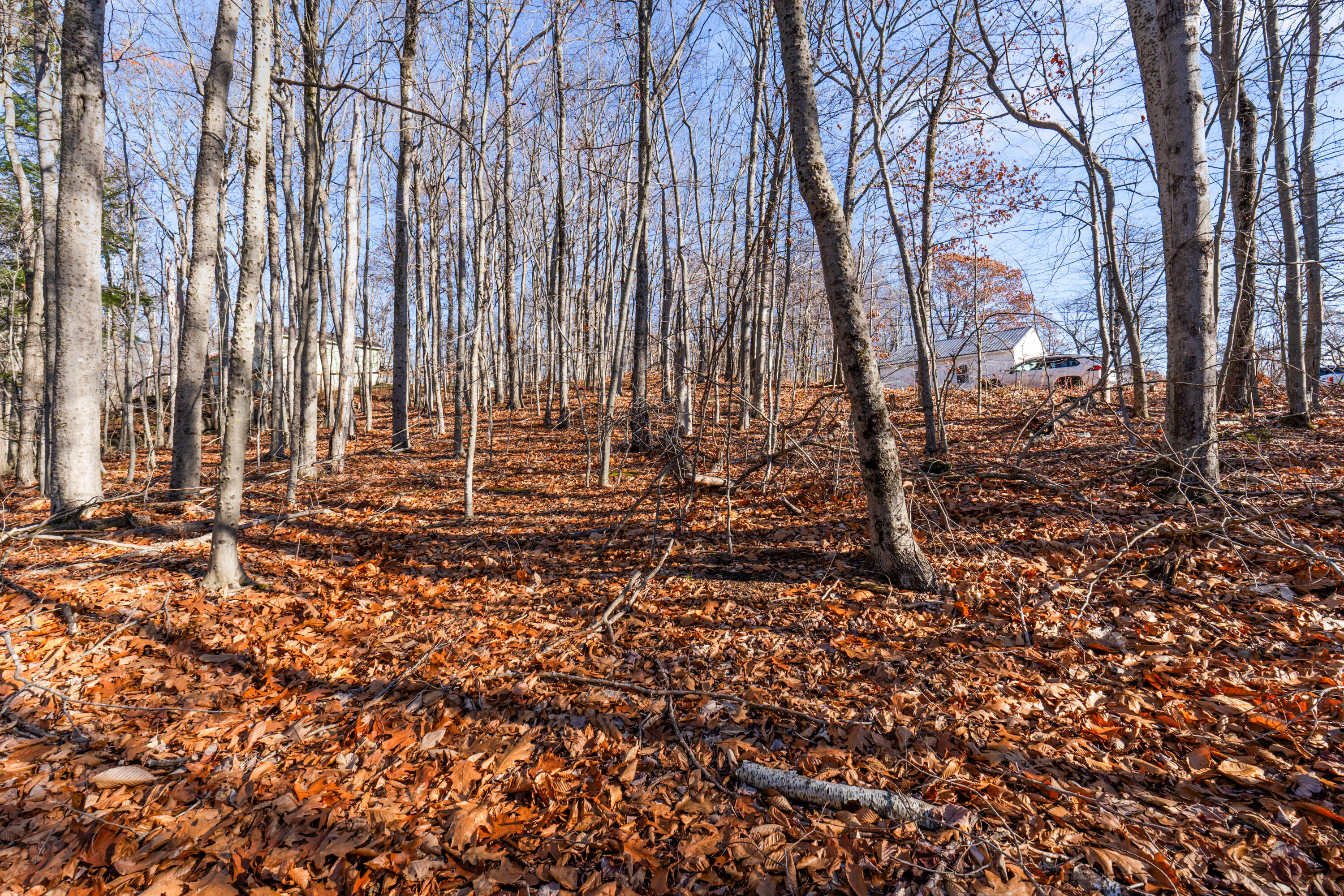 118 Cathy Street Augusta, ME 04330 - Photo 24 of 24 Lot 118 Cathy St_124