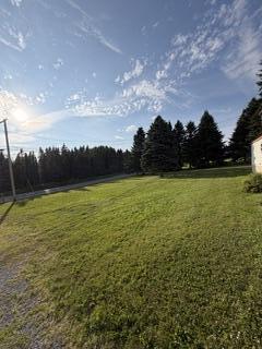 329 Parkhurst Siding Road Presque Isle, ME 04769 - Photo 17 of 18 Unknown