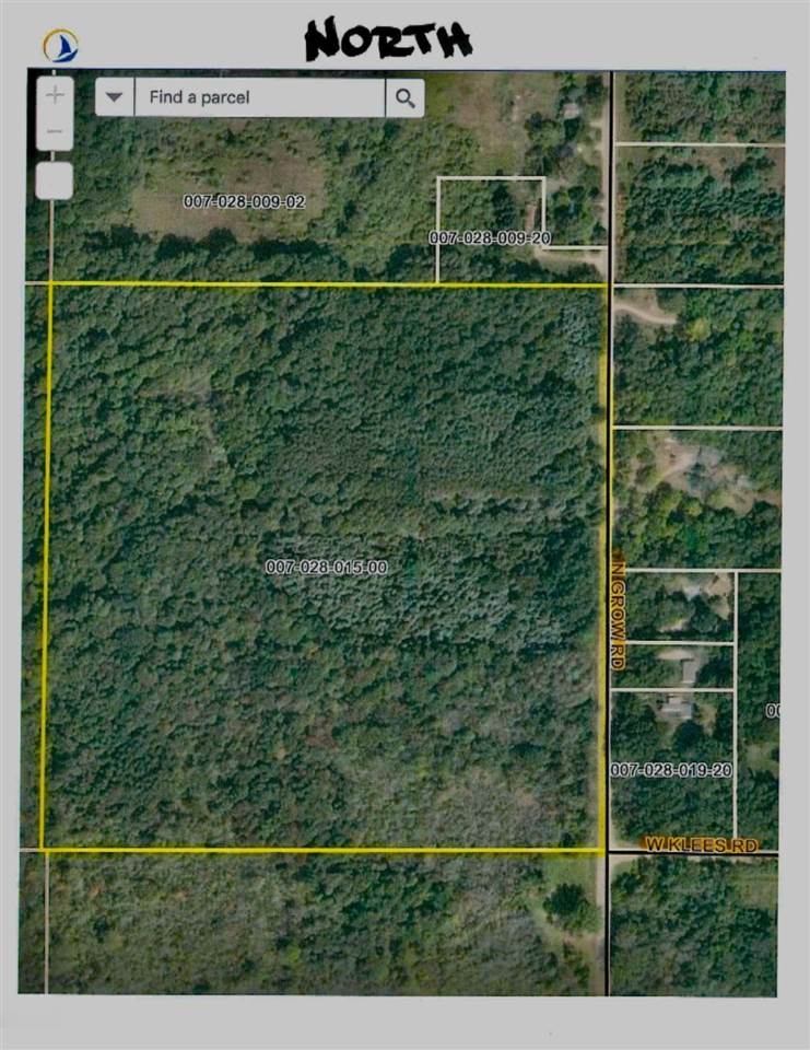 V/l Grow Road Northwest Sidney, MI 48885 - Photo 1 of 10