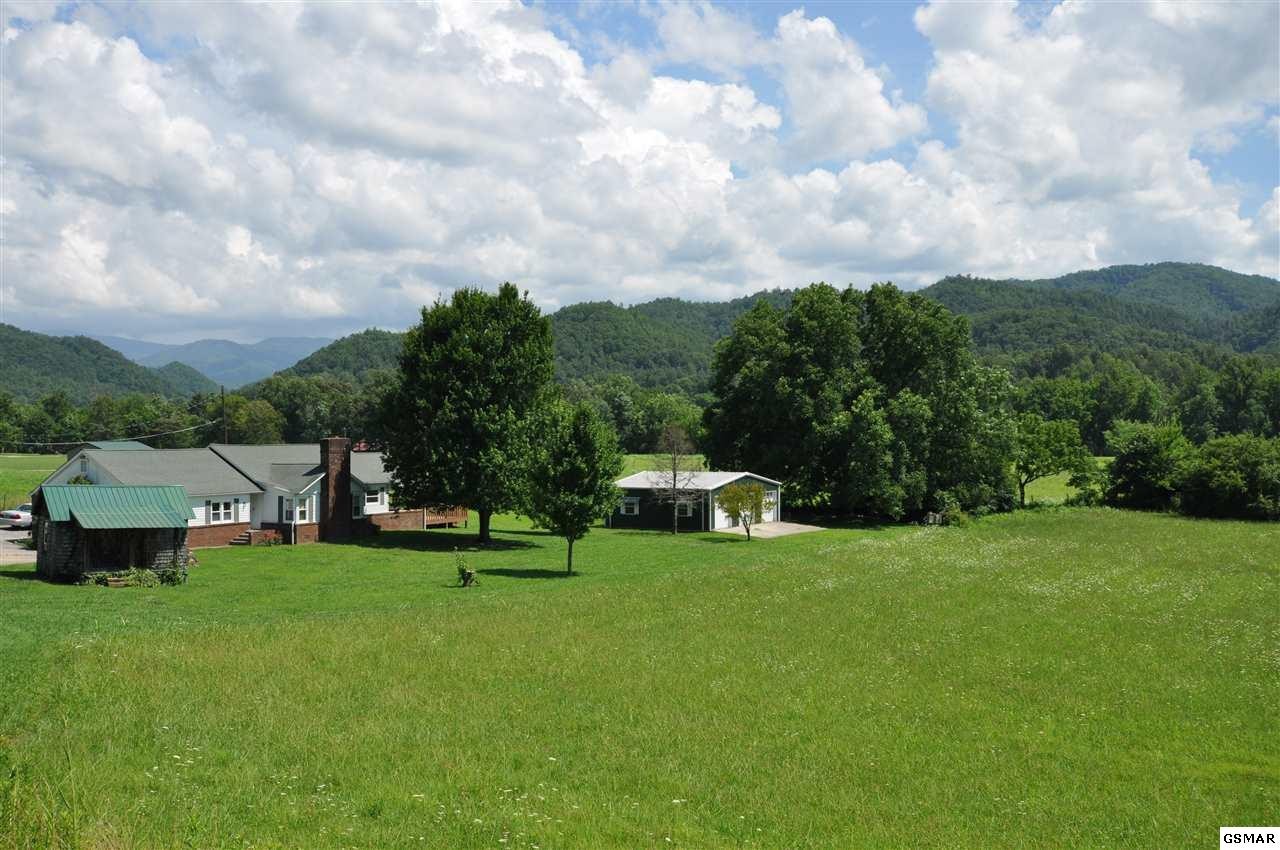 318 Wears Valley Road Townsend, TN 37882 - Photo 1 of 33 Gallery Image 1