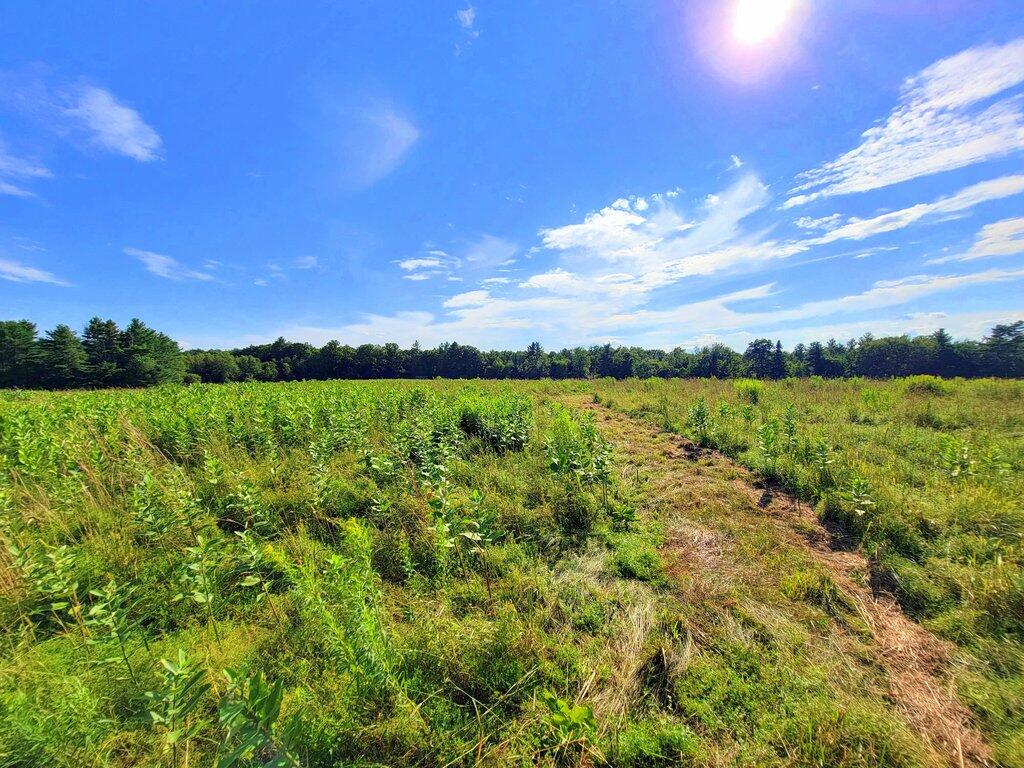 Lot 2 East Road Chesterville, ME 04938 - Photo 16 of 39 20240718_165108