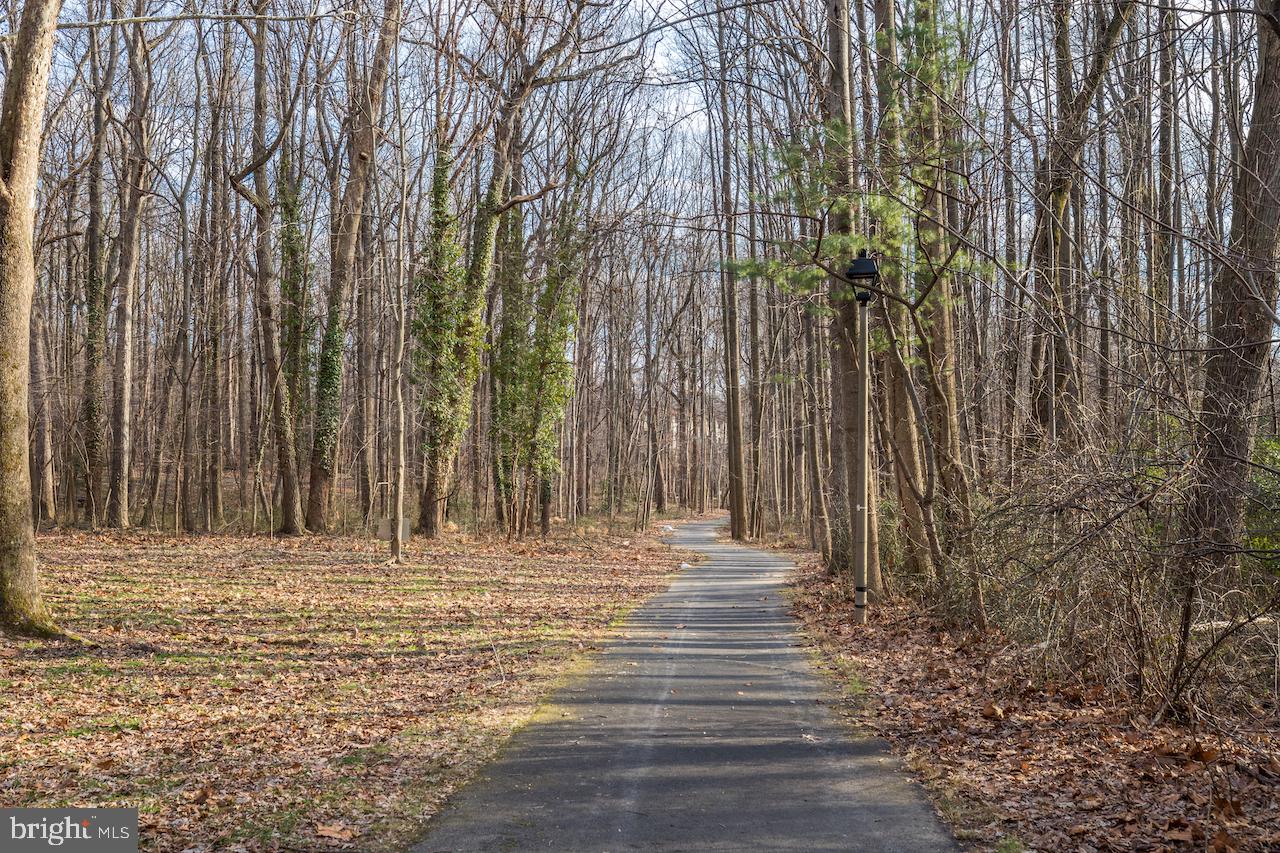 11915 Escalante Court Reston, VA 20191 - Photo 47 of 48