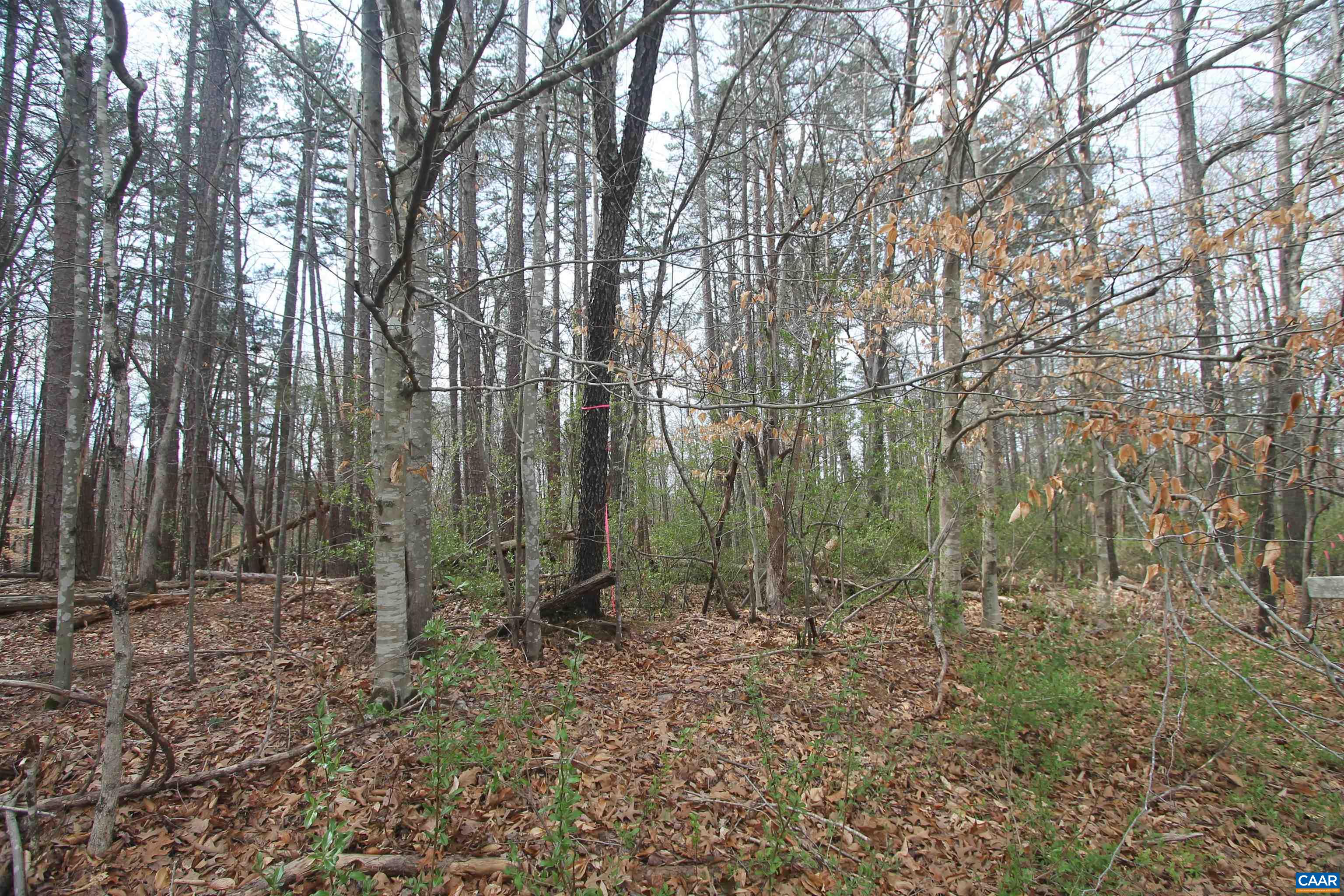 Tbd Sulphur Mine Road Charlottesville, VA 22911 - Photo 3 of 5 Gallery Image 3