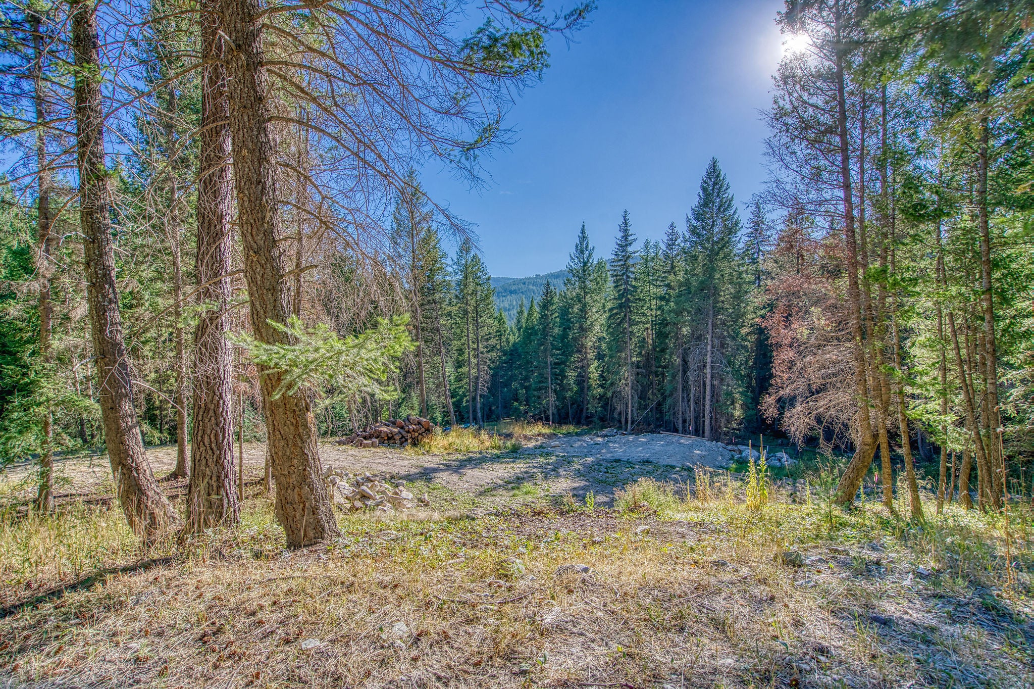 1340 Coon Hollow Road Kila, MT 59920 - Photo 5 of 25 Gallery Image 5