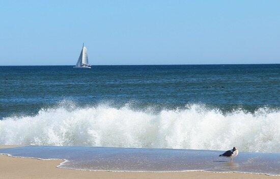 8 Beach Road, Unit 4 Orleans, MA 02653 - Photo 44 of 51 Nearby Nauset Beach