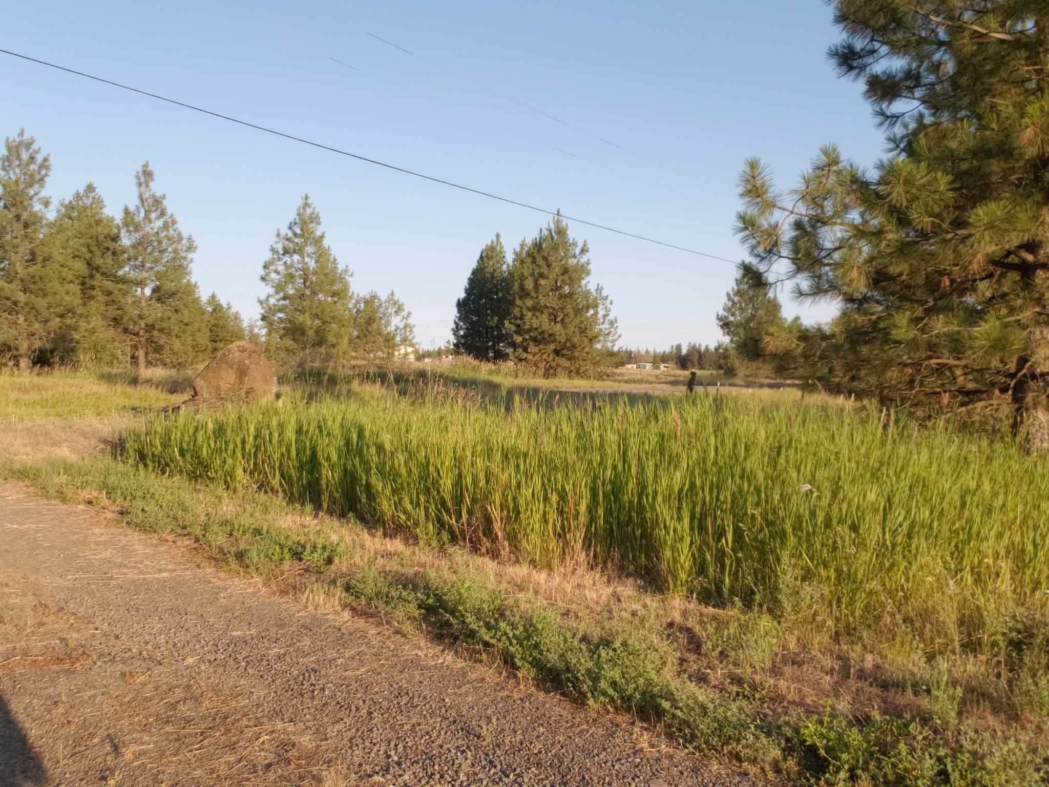 16410 South Carstens Road Edwall, WA 99008 - Photo 22 of 28