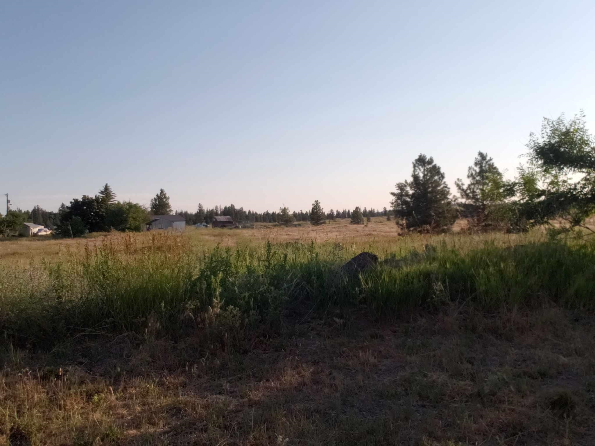 16410 South Carstens Road Edwall, WA 99008 - Photo 25 of 28