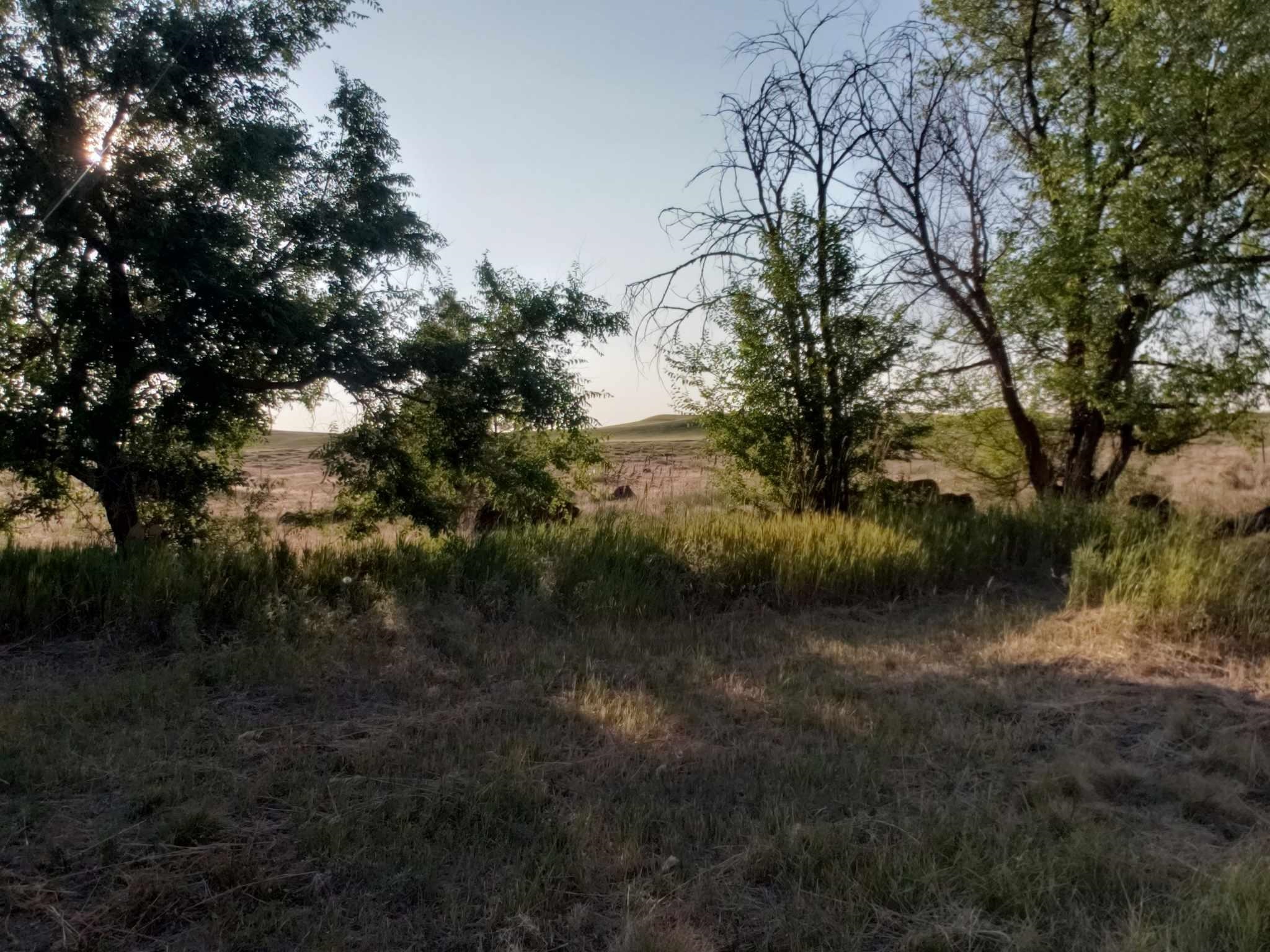 16410 South Carstens Road Edwall, WA 99008 - Photo 26 of 28