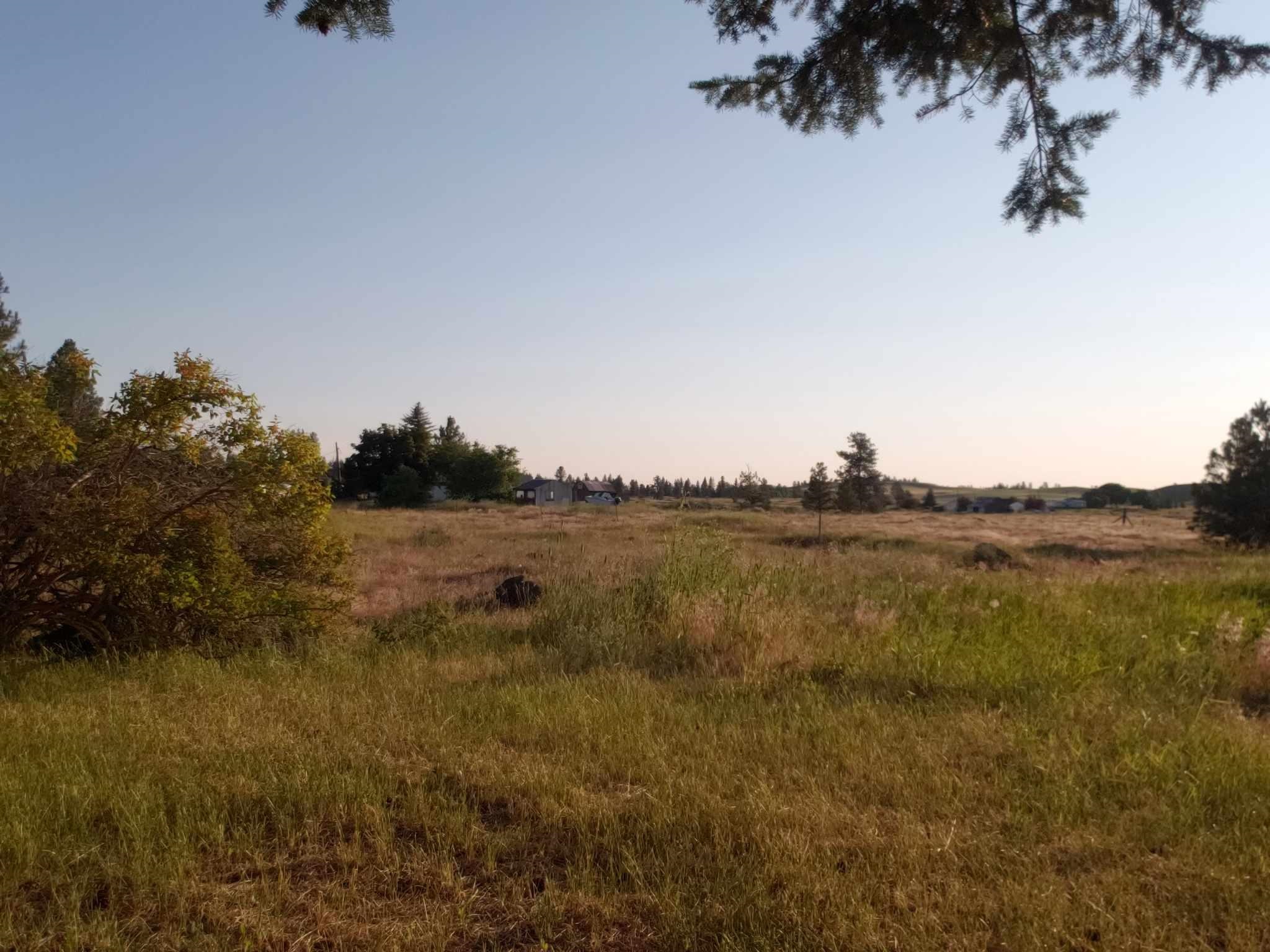 16410 South Carstens Road Edwall, WA 99008 - Photo 27 of 28